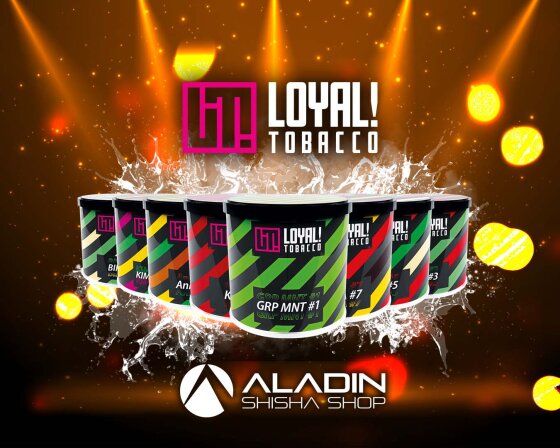 Warum ist Loyal Tobacco so beliebt?