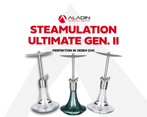 Steamulation Ultimate Gen. II: Perfektion in jedem Zug