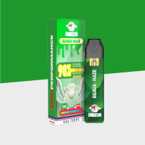 SHEESH Superior Line - Guava Haze - Einweg Vape