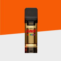 GZUZ - Zkiddlez - H3 - Pod