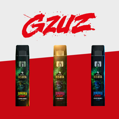 Jumanji by GZUZ - H3BTA - Einweg Vapes