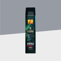 Jumanji by GZUZ - Koka - H3BTA - Einweg Vapes