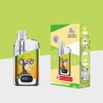 RandM Tornado Box - Grün Orange - Refillable Pod Kit