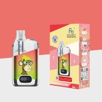 RandM Tornado Box - Rot Grün - Refillable Pod Kit