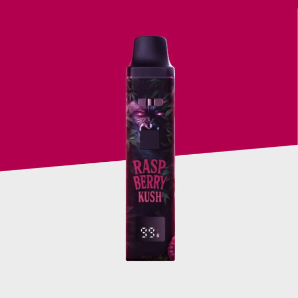 GAZO Pro by GZUZ - Raspberry - H3BTA - Einweg Vape