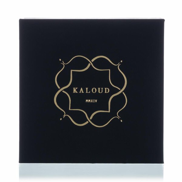 Kaloud Lotus I+ Classic - silver