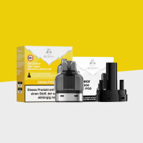Arcbear Pro 15000 - Banana Pineapple - Pod + Leerpod