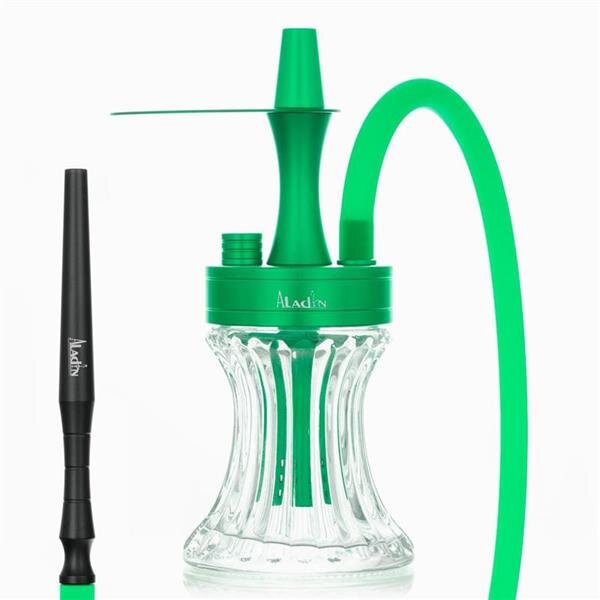 Aladin 2 Go - Alu - with bag & hose set Green