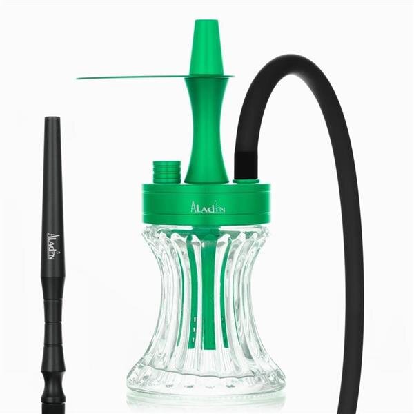 Aladin 2 Go - Alu - with bag & hose set Green/Black