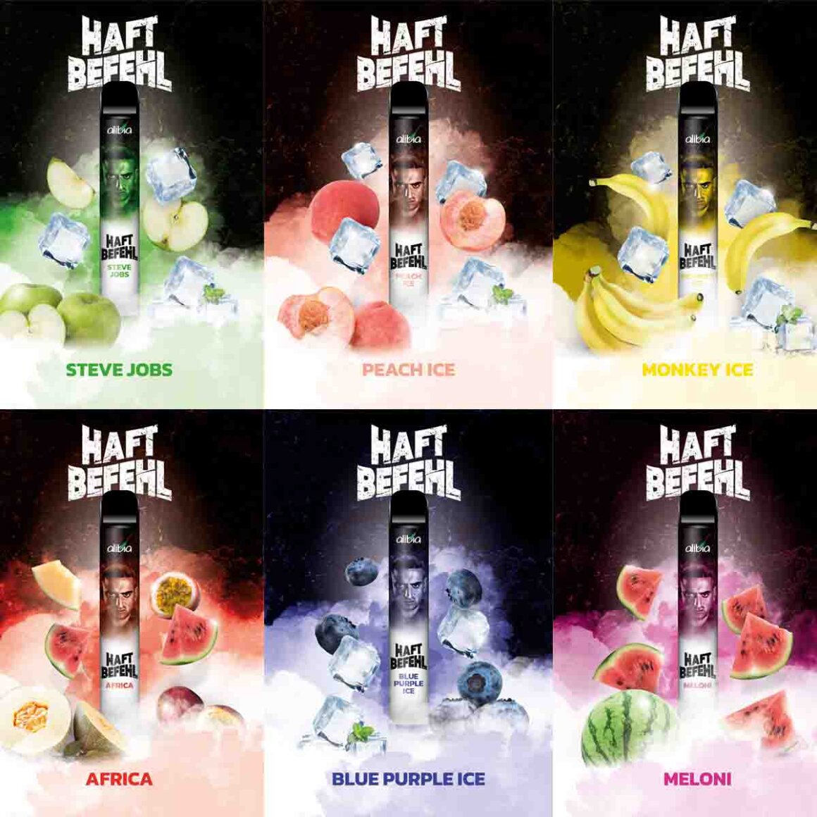 elfbar elfa master akku Haftbefehl - Vape